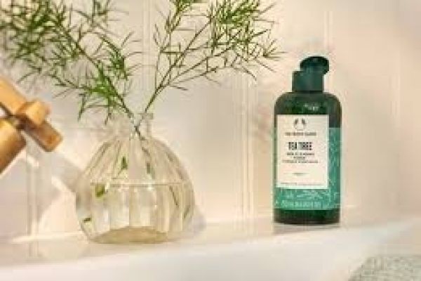 Vegan Beauty Products Market experiencing rapid expansion through cruelty-free and sustainable innovations