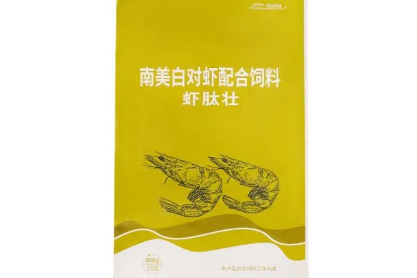 Cost-Effective Advertising: The Smart Economics of Color Printing Bags