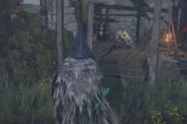 How to Buy Elden Ring Runes With Debit Card