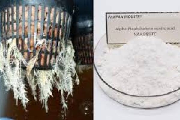 Naphthalene Acetic Acid Market Factors Affecting Adoption Rates in Emerging Agriculture Markets