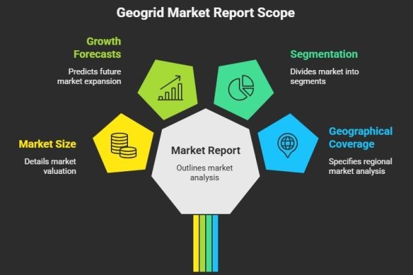 Global Geogrid Market: Trends, Value, and Future Opportunities