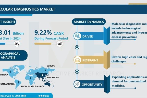 Molecular Diagnostics Market Size to Reach USD 26.34 Billion by 2032