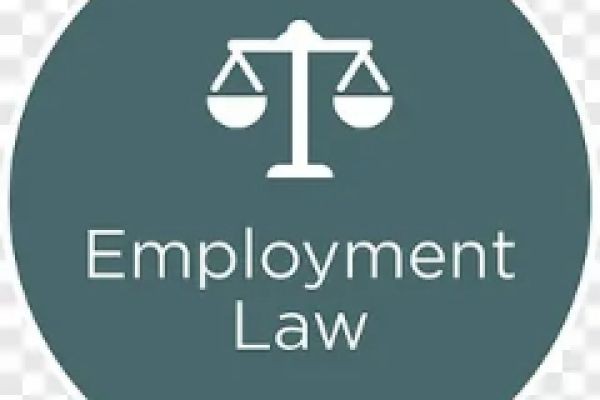 Employment Law Jobs: Careers, Skills, Salary & Opportunities 2025