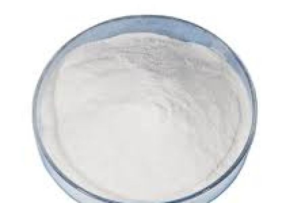 White Cement Market Reports Increasing Import-Export Activities Between Europe and Asia