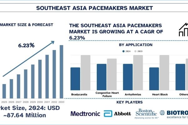 Southeast Asia Pacemakers Market Size, Share, Trends & Research Report, 2033 | UnivDatos