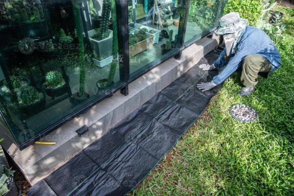 Is Black Plastic Sheeting for Gardens the Right Choice for Healthier Plants and Better Yields?