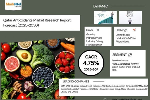 Qatar Antioxidants Industry Insights & Future Growth by 2030