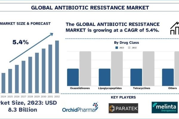 Antibiotic Resistance Market Report, Size, Overview, Trends & Analysis 2032