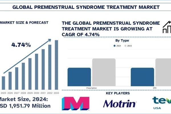 Premenstrual Syndrome Treatment Market Size, Growth, Trends, Forecast (2025-2033)