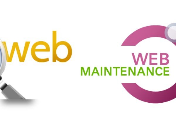 How Visual Appeal and Functionality Drive Online Conversions