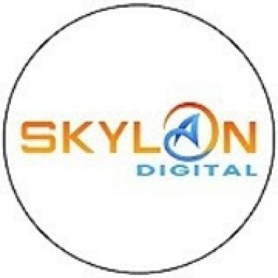 Skylan Digital avatar