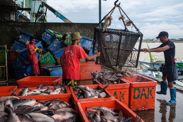 Aquaculture Market Is Encouraging Innovation In Fish Breeding
