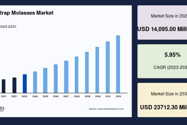 Blackstrap Molasses Market: Global Market Research Report and Industry Analysis