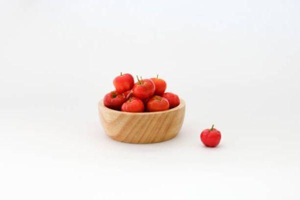 Acerola Extract Market Insights Address Inventory Planning and Supply Continuity Challenges