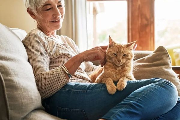 Building Brighter Futures for Dogs Through Community Care