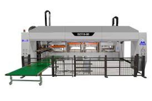 Top Fiber Molding Machine Solutions for Sustainable Packaging