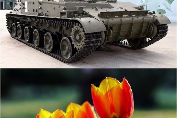 Цветы смерти