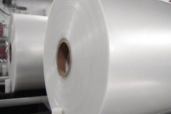 In-Depth Market Dynamics Assessing Drivers, Restraints, Opportunities, and Industry Challenges