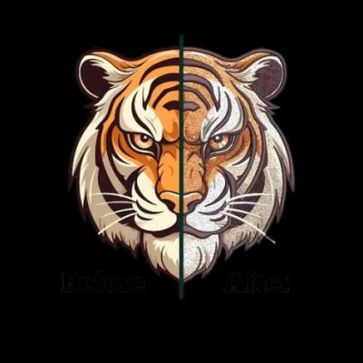 Embroidery digitizing avatar