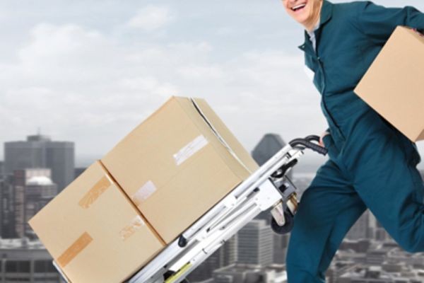 Best Domestic Courier Services Near Me – Reliable and Efficient Delivery Solutions