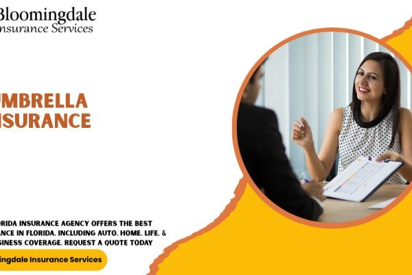 Umbrella Insurance Coverage with Bloomingdale Insurance Services