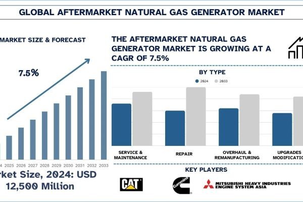 Aftermarket Natural Gas Generator Market Size, Share, Trends & Research Report, 2033 | UnivDatos