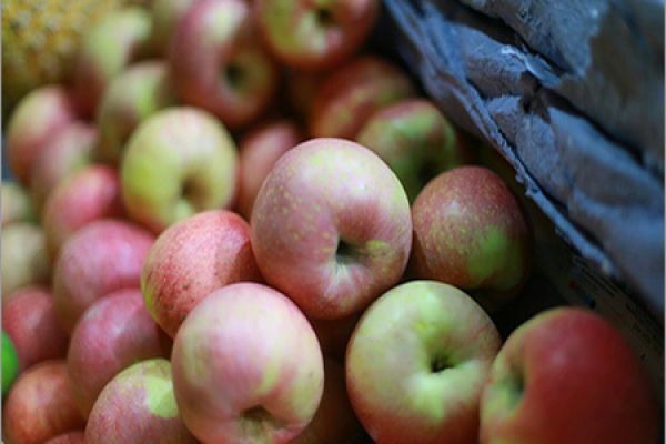 Apple Concentrate Market Outlook: Driving Consistency And Innovation