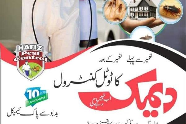 Pest Control & Pest Control Lahore Services | HafizPestControl
