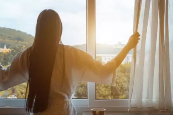 Window film singapore