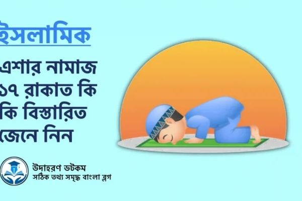 এশার নামাজ ১৭ রাকাত: রাকাতের বিভাজন, নিয়ম ও ফজিলত সম্পর্কে বিস্তারিত আলোচনা..