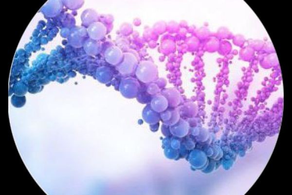 The Brain's Trojan Horse: Can We Finally Vaccinate Against the Thief of Memories?