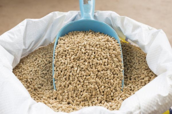 Feed Enzymes Market Emerging Trends Shaping Global Animal Nutrition and Industry Growth