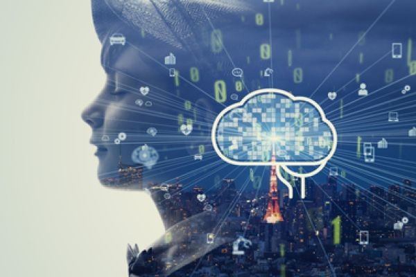 How Industrial Psychologist Johannesburg South Works With IOP to Support Businesses