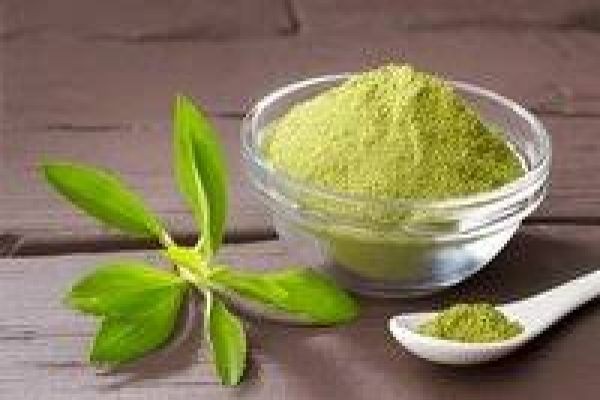 Organic Stevia Market Developments Tracking Innovations Partnerships and Expansions