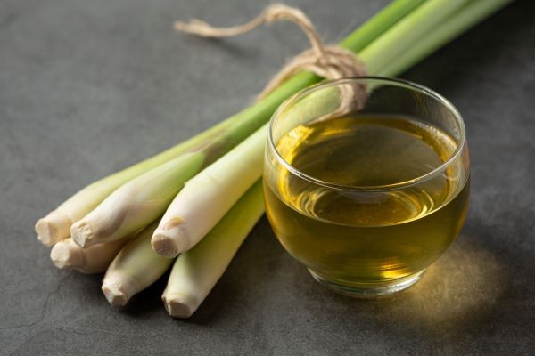 Global Citronella Oil Market Growth, Trends, and Revenue Forecast 2026-2033