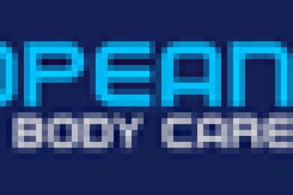 Why Quality Workmanship Is Essential for European Vehicle Repairs