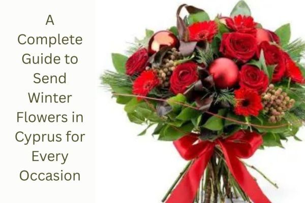 A Complete Guide to Send Winter Flowers in Cyprus for Every Occasion
