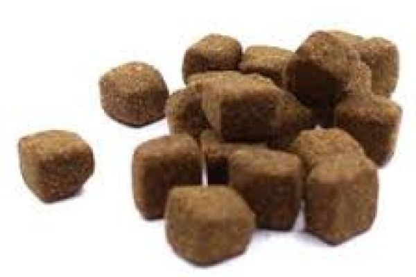 Pet Supplement Market Current Scenario Examining Adoption Trends Among Pet Owners