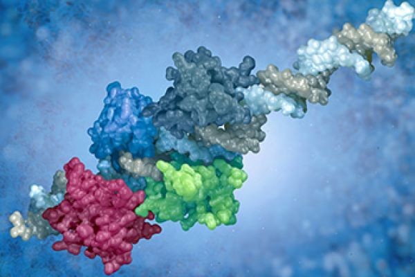 The Self-Copying Cure: Why "saRNA" is the Next Giant Leap Beyond Traditional mRNA