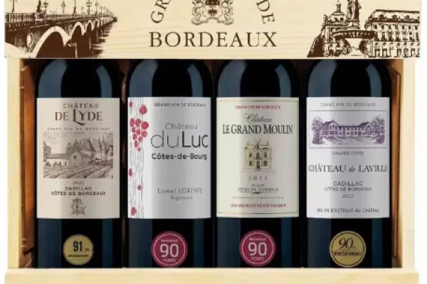 How Do Grands Vins de Bordeaux Stand Out Among Fine Red Wines?