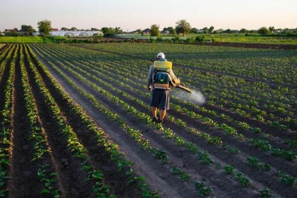 Crop Protection Chemicals Market Climate Change Impact And Adaptive Farming Strategies