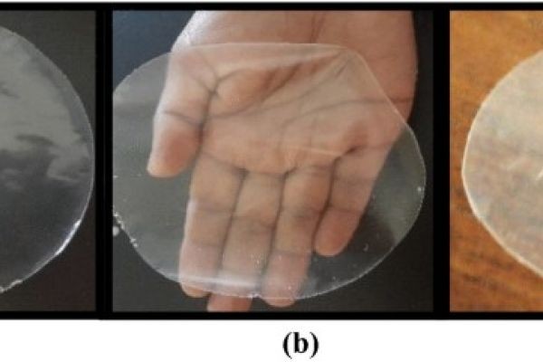 Film Forming Starches Market Recent Developments Transforming Sustainability and Performance