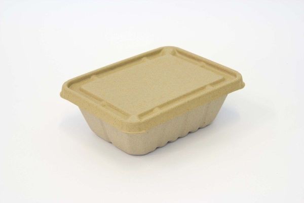 Biodegradable Lids Market Future Trends Highlighting Sustainability, Technological Innovation, and Global Industry Expansion Opportunities
