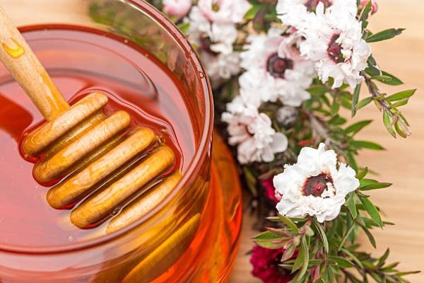 Manuka Honey Market Growth Outlook Improves With Rising Demand For Natural Immunity And Functional Health Products