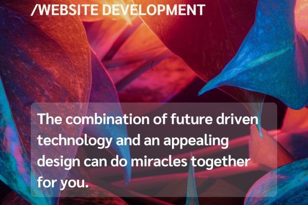 Web Development Across Delhi NCR: What Businesses Need to Know