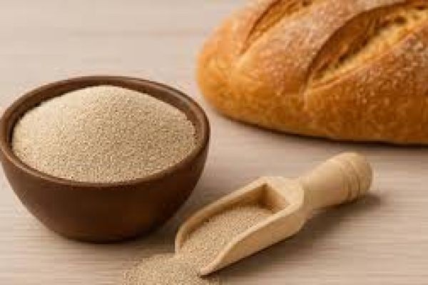 Dry Yeast Market Market Growth Driven by Global Food and Baking Industry Expansion