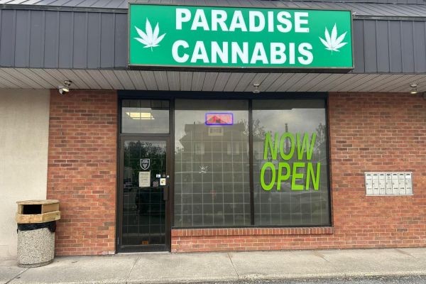 Cannabis Store Port Colborne At Paradise Cannabis