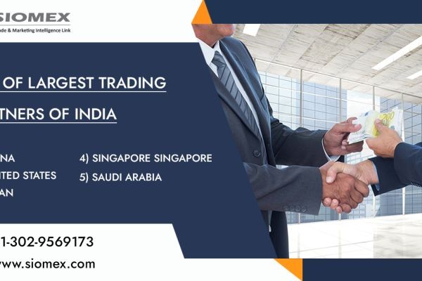 Why Import Export Data Is the Backbone of Modern Global Business