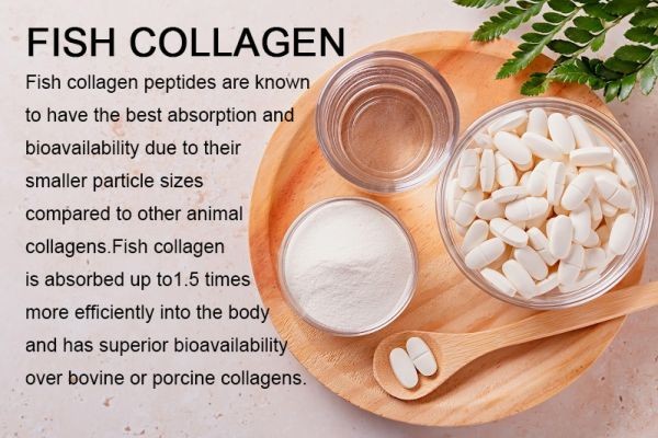 Fish Collagen Market: Growth and Emerging Opportunities in Wellness Industry
