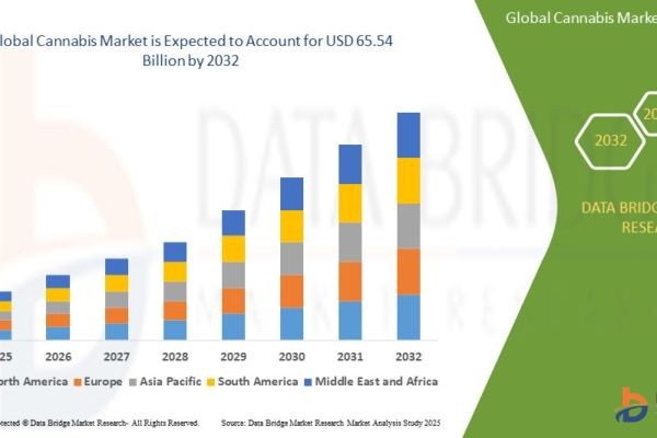 How Are Legalization, Medical Applications, and Investment Flows Transforming the Cannabis Market?
